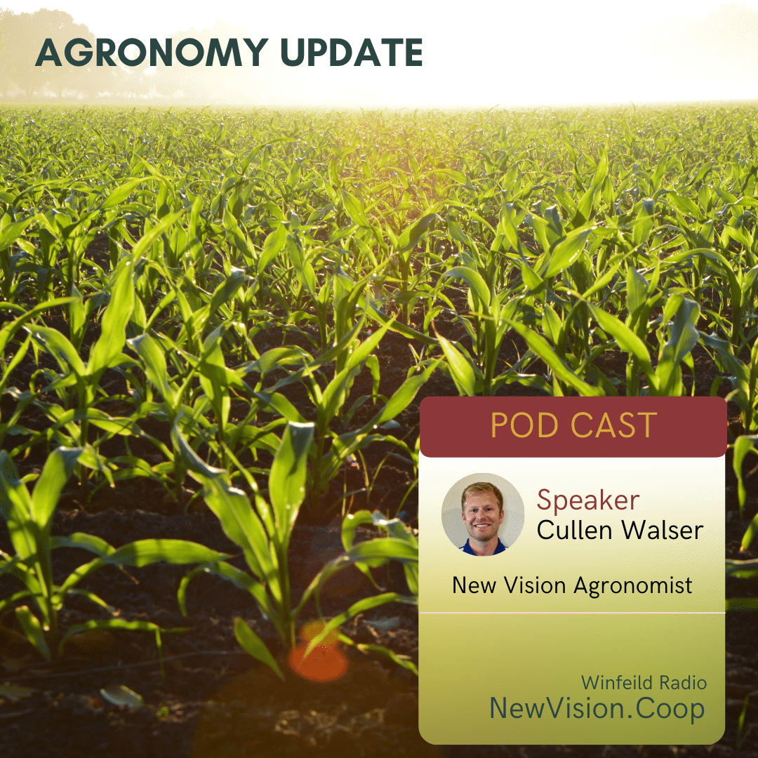Agronomy Update 5-17-2022 thumbnail