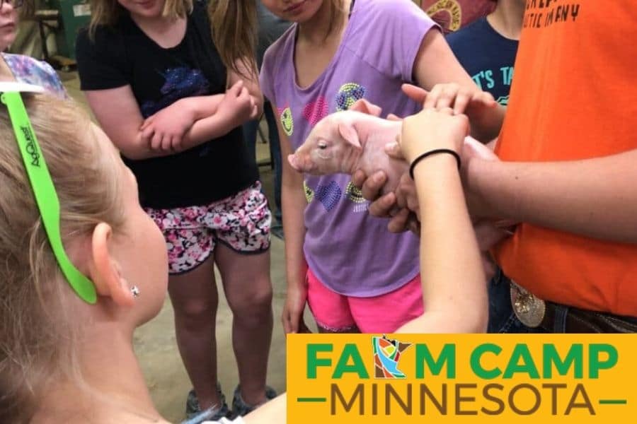 Farm Camp Minnesota