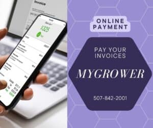 Online Payment