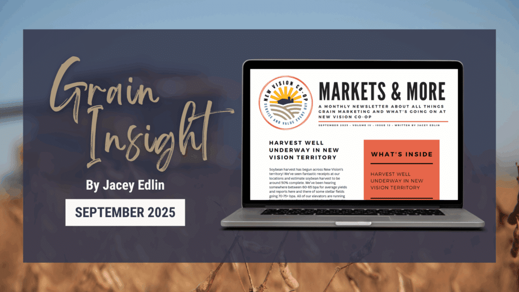 September Grain Insight