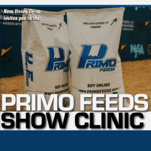 Show Feed Clinic