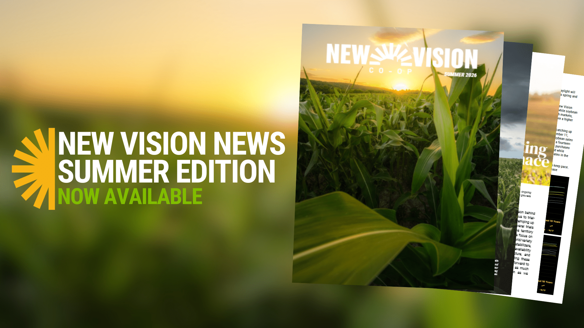 New Vision News Summer Edition