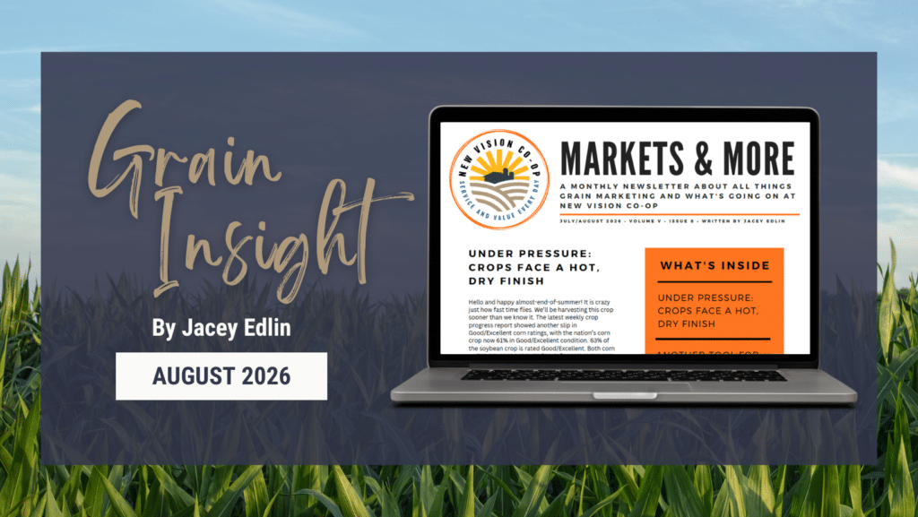 Grain Insight August