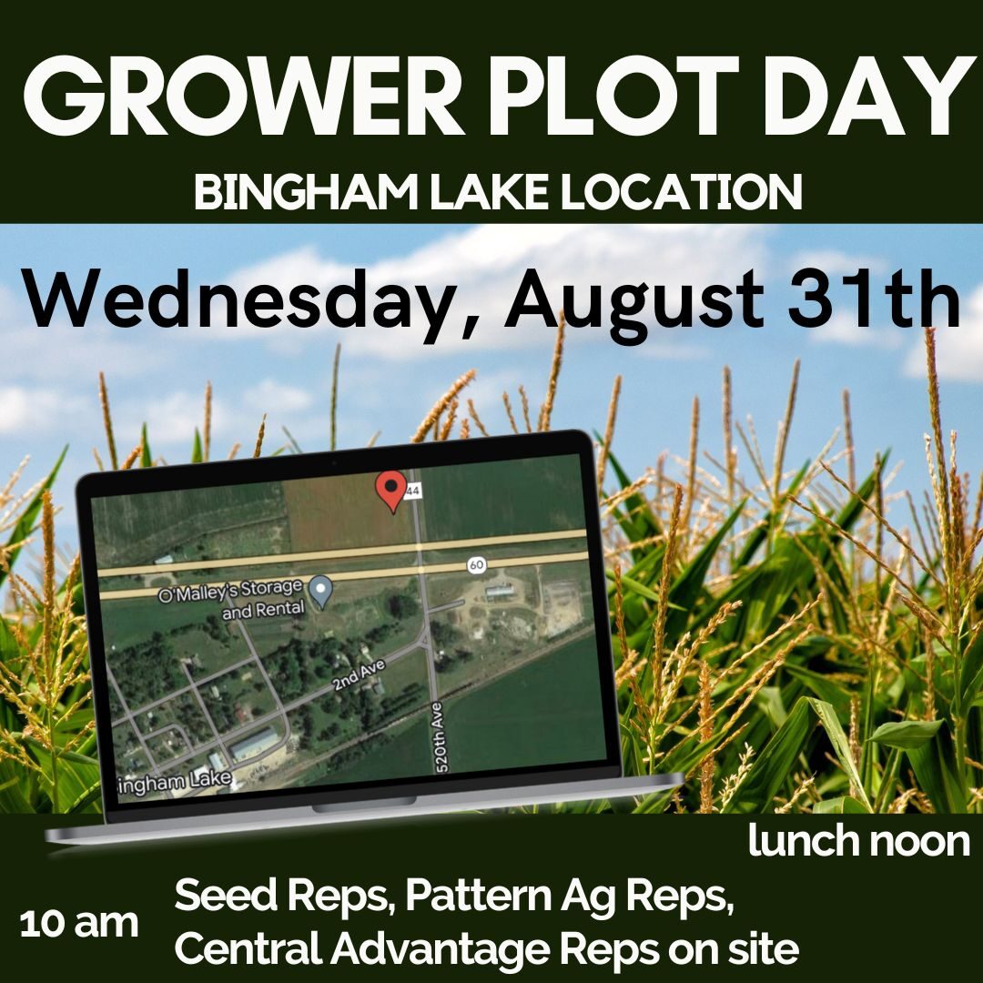 Bingham Lake Grower Plot