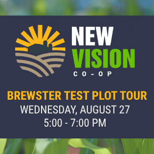 Brewster Plot ( )