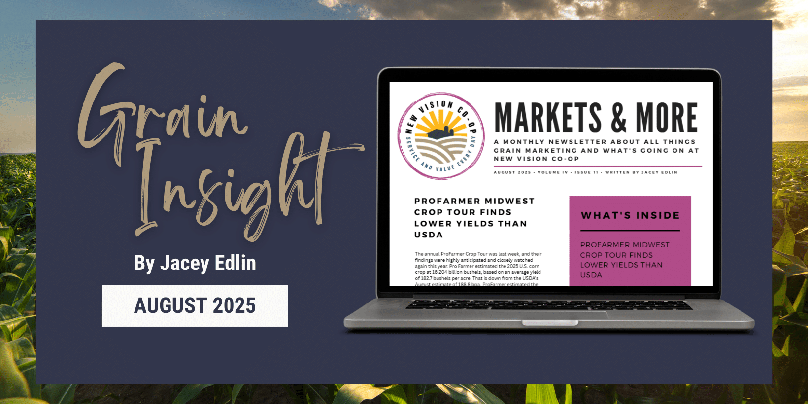 February Grain Insight ( )