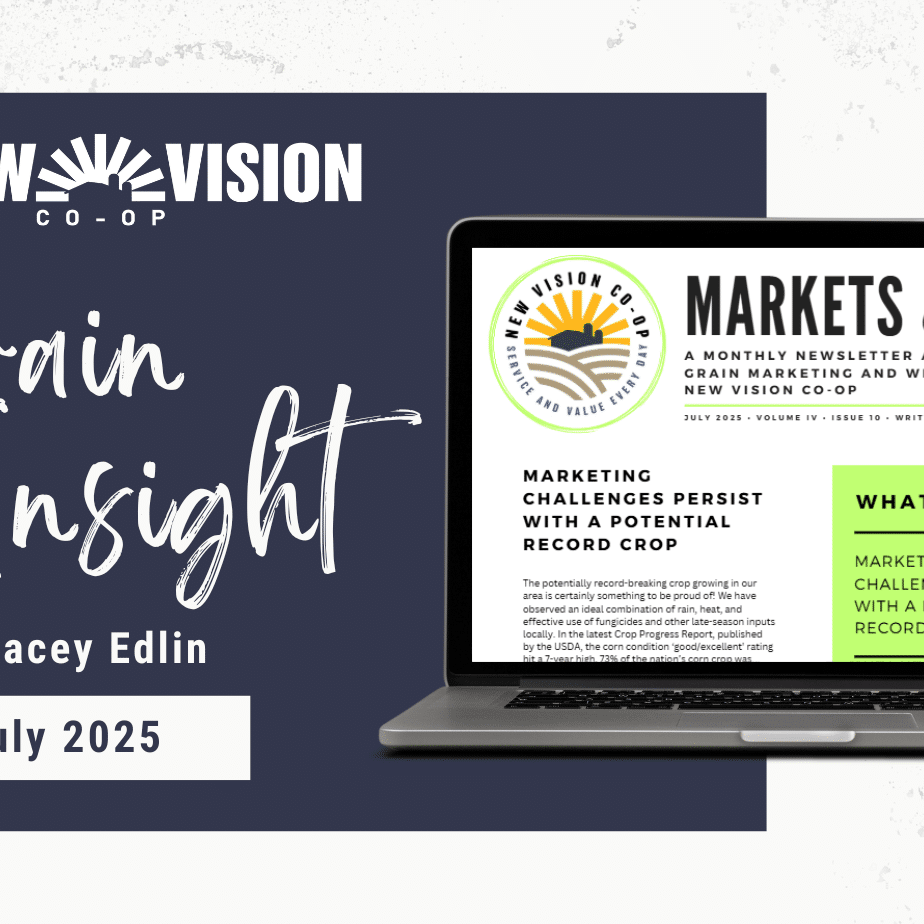 February Grain Insight ( )