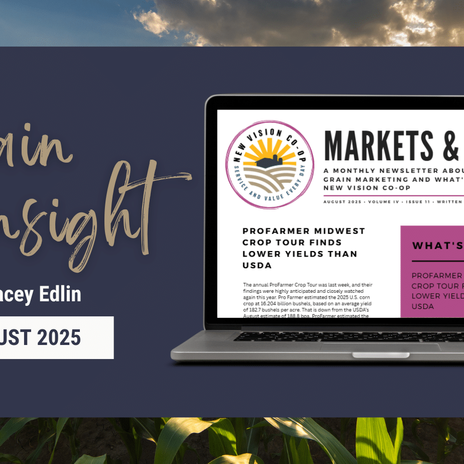 February Grain Insight ( )