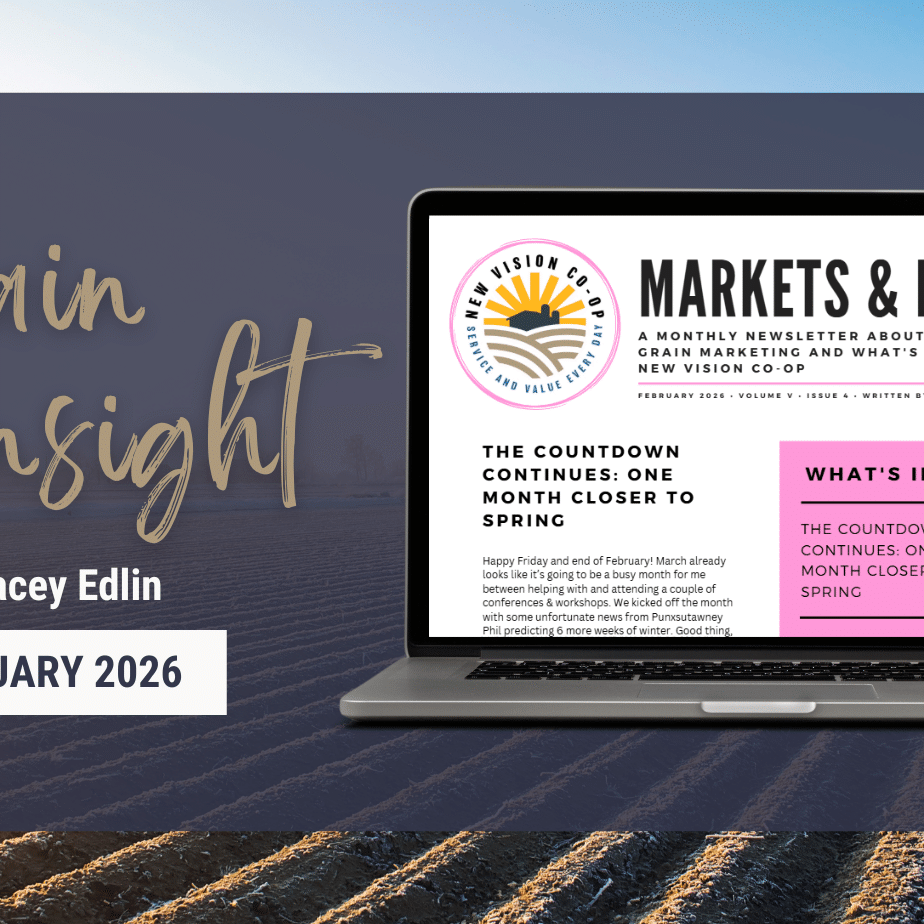Grain Insight ( )