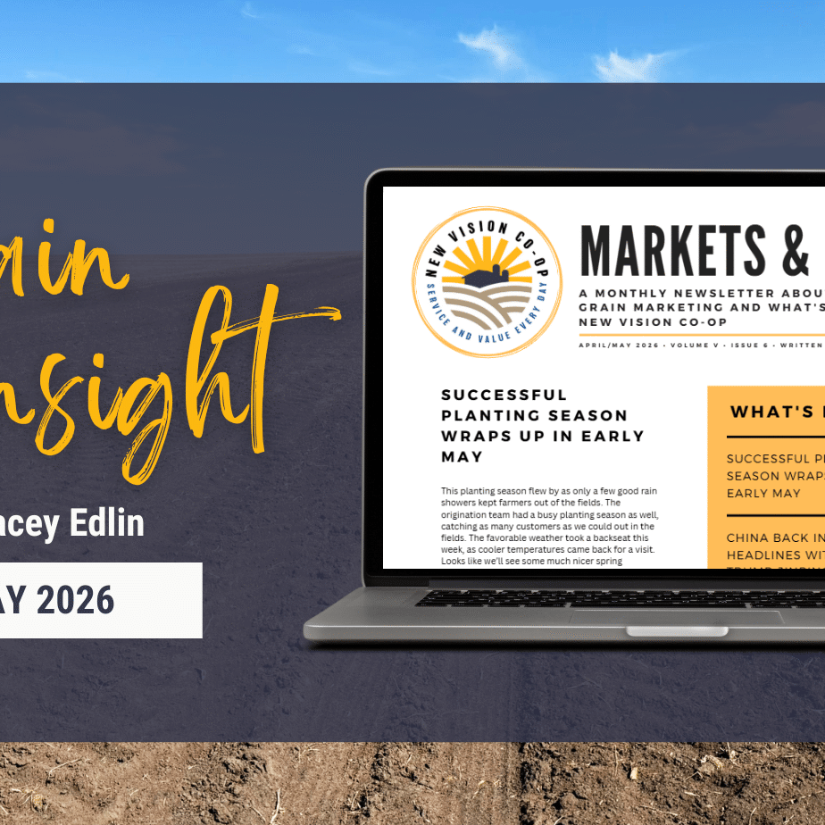 Grain Insight ( )