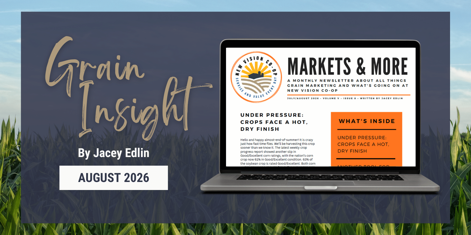 Grain Insight August
