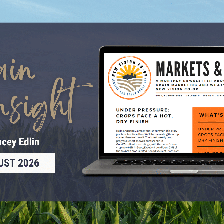 Grain Insight August