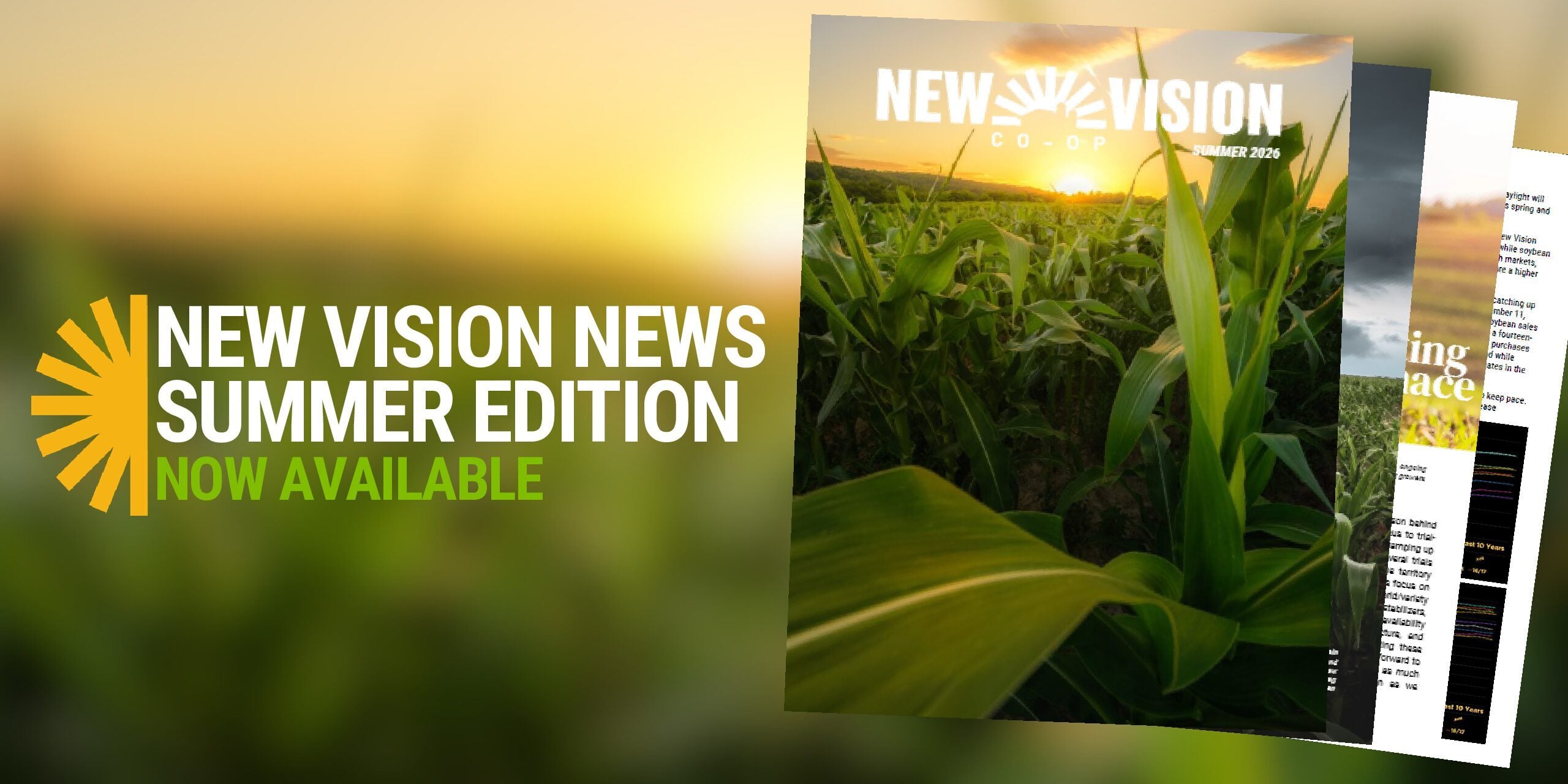 NEW VISION NEWS SUMMER EDITION