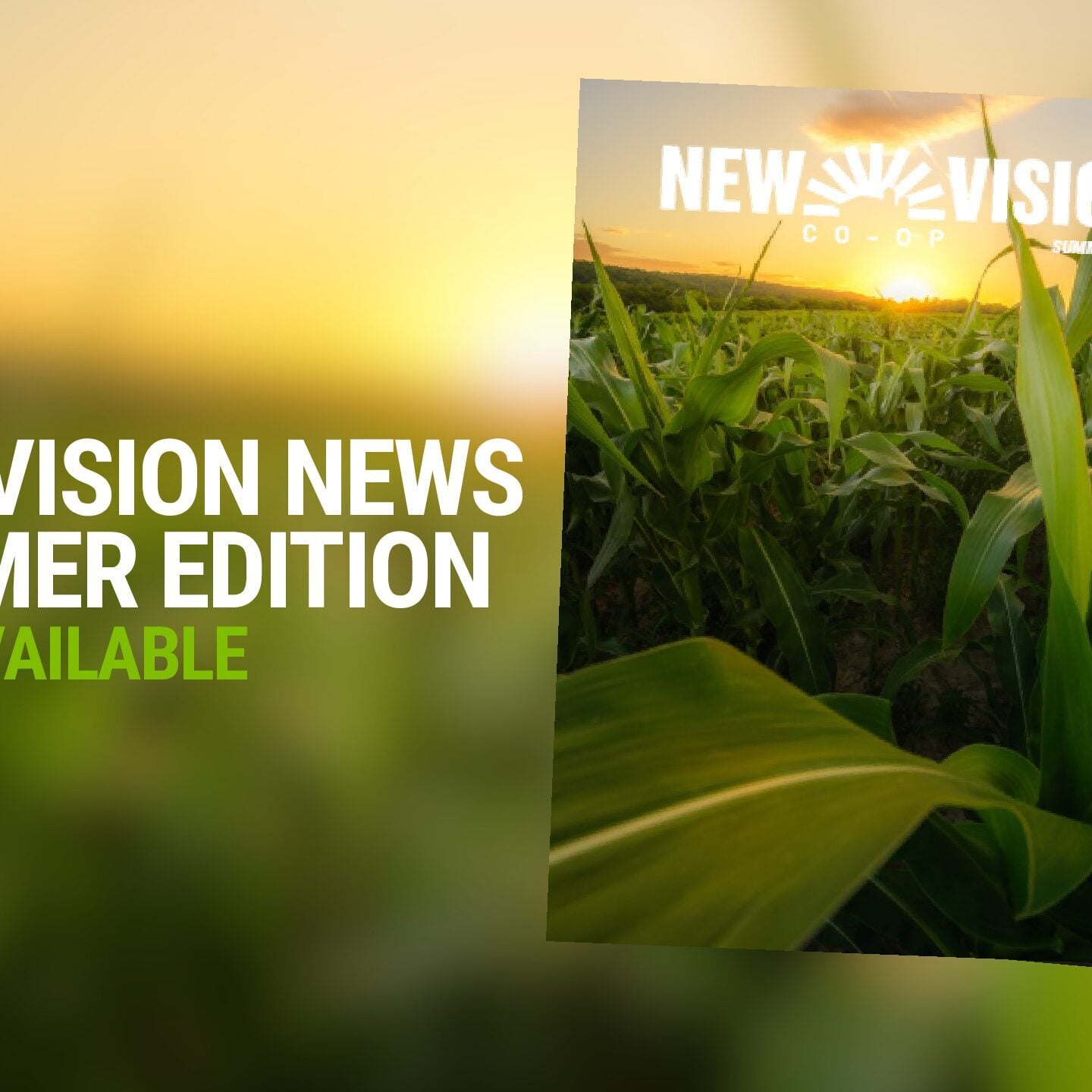 NEW VISION NEWS SUMMER EDITION