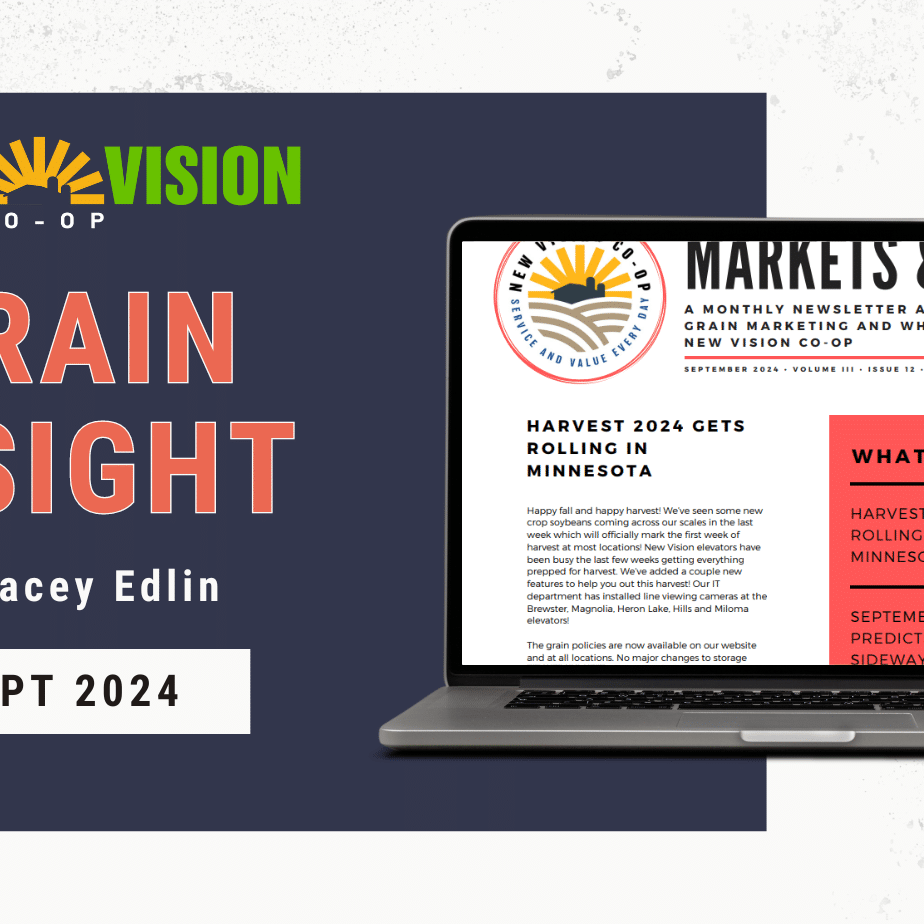 Sept Grain Insight