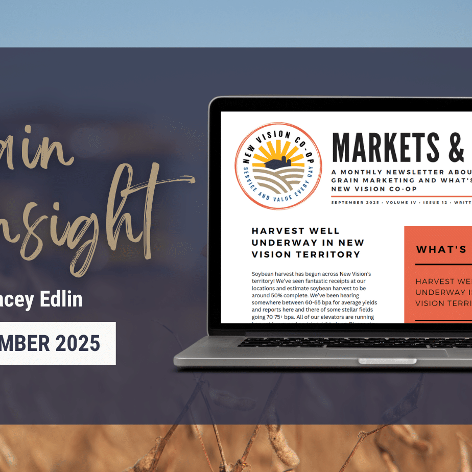 September Grain Insight